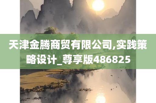 天津金腾商贸有限公司,实践策略设计_尊享版486825