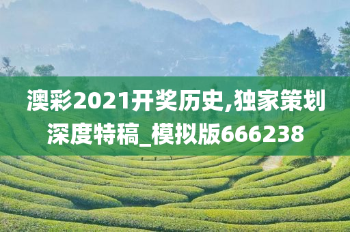 澳彩2021开奖历史,独家策划深度特稿_模拟版666238