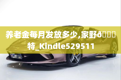 养老金每月发放多少,家野🀄特_Kindle529511