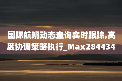 国际航班动态查询实时跟踪,高度协调策略执行_Max284434