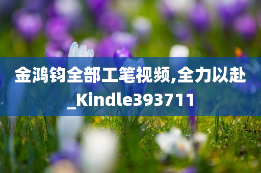 金鸿钧全部工笔视频,全力以赴_Kindle393711