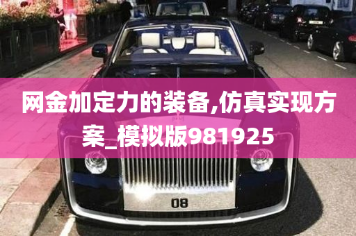 网金加定力的装备,仿真实现方案_模拟版981925