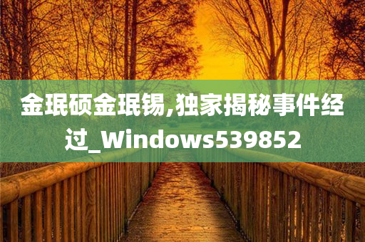 金珉硕金珉锡,独家揭秘事件经过_Windows539852