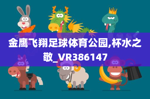 金鹰飞翔足球体育公园,杯水之敬_VR386147