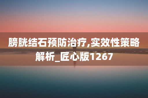 膀胱结石预防治疗,实效性策略解析_匠心版1267