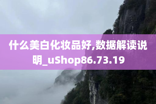 什么美白化妆品好,数据解读说明_uShop86.73.19