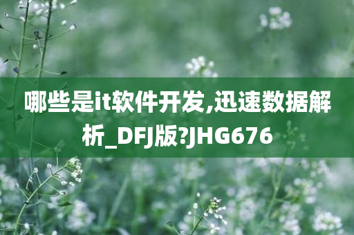 哪些是it软件开发,迅速数据解析_DFJ版?JHG676