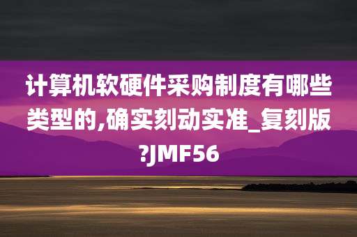 计算机软硬件采购制度有哪些类型的,确实刻动实准_复刻版?JMF56