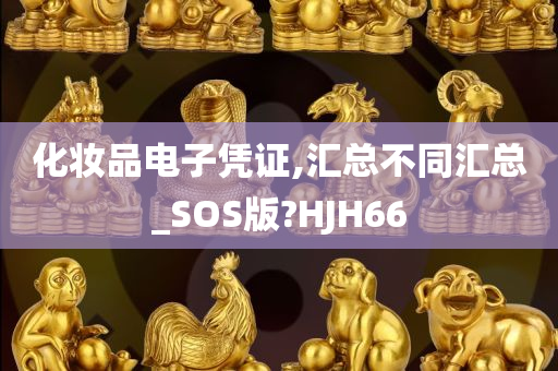 化妆品电子凭证,汇总不同汇总_SOS版?HJH66