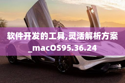 软件开发的工具,灵活解析方案_macOS95.36.24