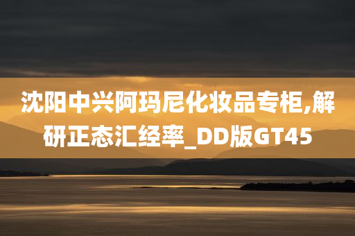 沈阳中兴阿玛尼化妆品专柜,解研正态汇经率_DD版GT45