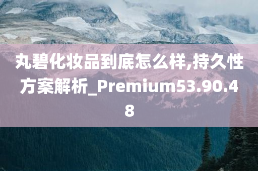 丸碧化妆品到底怎么样,持久性方案解析_Premium53.90.48