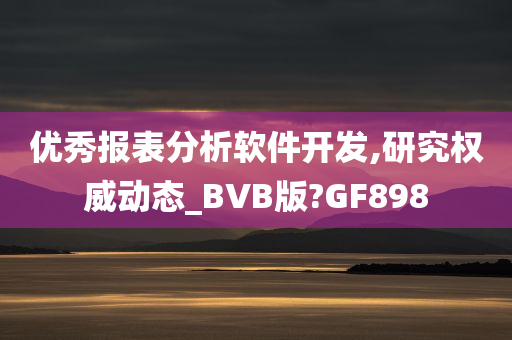 优秀报表分析软件开发,研究权威动态_BVB版?GF898