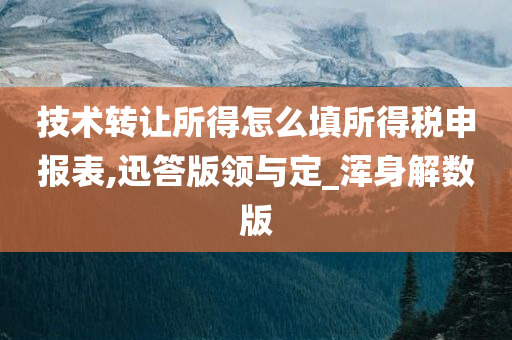 技术转让所得怎么填所得税申报表,迅答版领与定_浑身解数版