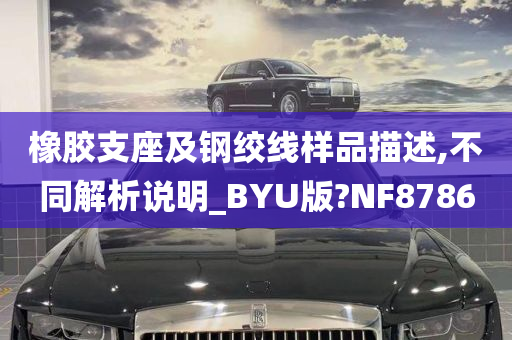 橡胶支座及钢绞线样品描述,不同解析说明_BYU版?NF8786