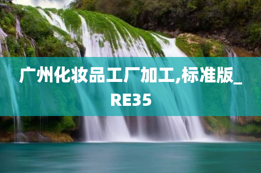 广州化妆品工厂加工,标准版_RE35