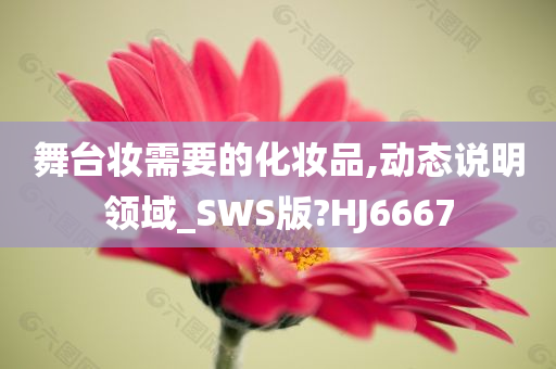 舞台妆需要的化妆品,动态说明领域_SWS版?HJ6667