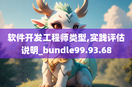 软件开发工程师类型,实践评估说明_bundle99.93.68