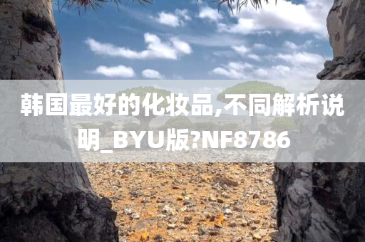 韩国最好的化妆品,不同解析说明_BYU版?NF8786