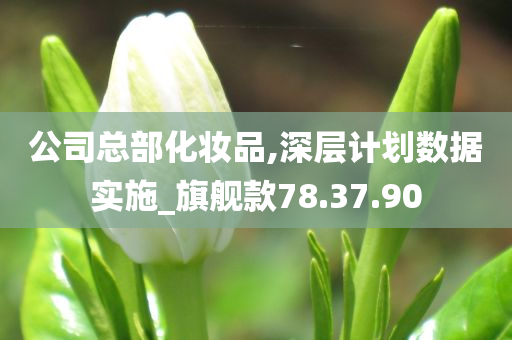 公司总部化妆品,深层计划数据实施_旗舰款78.37.90