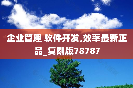 企业管理 软件开发,效率最新正品_复刻版78787