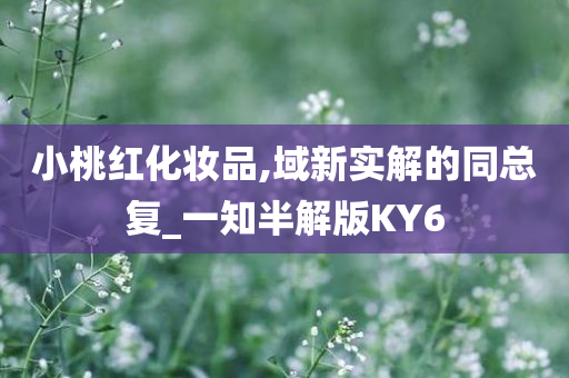 小桃红化妆品,域新实解的同总复_一知半解版KY6