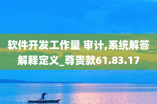 软件开发工作量 审计,系统解答解释定义_尊贵款61.83.17