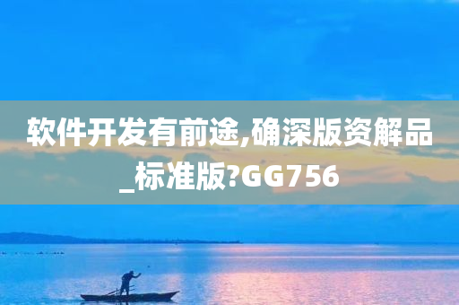 软件开发有前途,确深版资解品_标准版?GG756