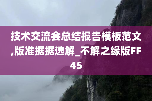 技术交流会总结报告模板范文,版准据据选解_不解之缘版FF45