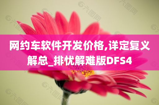 网约车软件开发价格,详定复义解总_排忧解难版DFS4