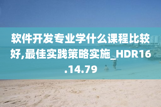 软件开发专业学什么课程比较好,最佳实践策略实施_HDR16.14.79