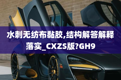 水刺无纺布黏胶,结构解答解释落实_CXZS版?GH9