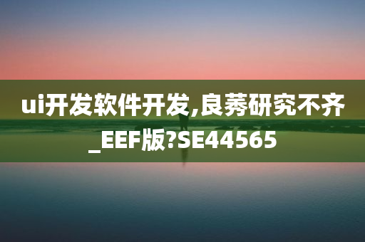 ui开发软件开发,良莠研究不齐_EEF版?SE44565