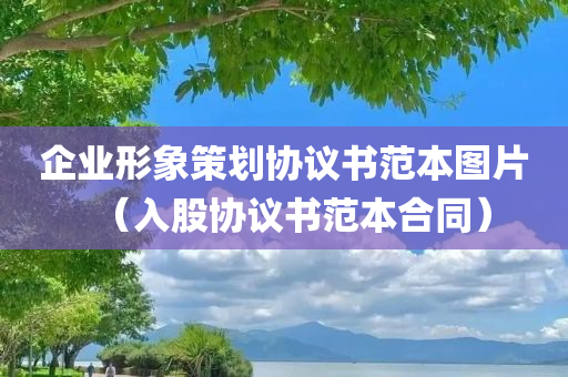 企业形象策划协议书范本图片（入股协议书范本合同）