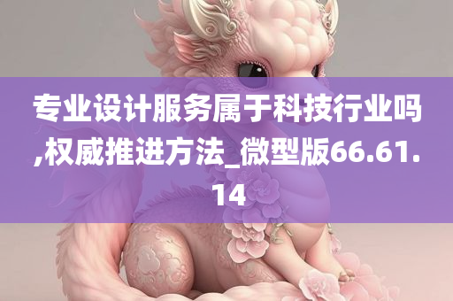 专业设计服务属于科技行业吗,权威推进方法_微型版66.61.14