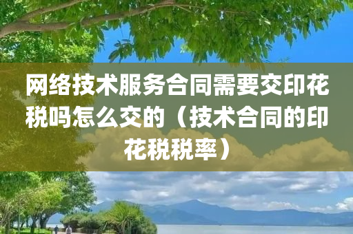 网络技术服务合同需要交印花税吗怎么交的（技术合同的印花税税率）