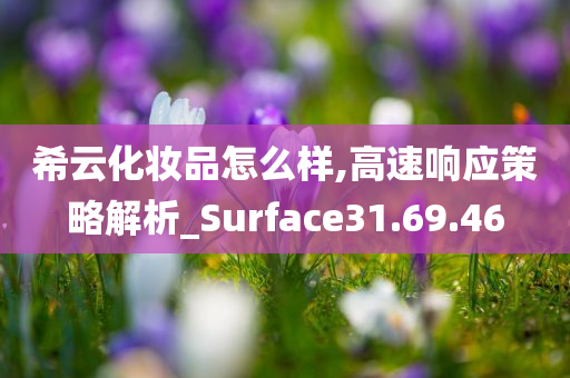 希云化妆品怎么样,高速响应策略解析_Surface31.69.46