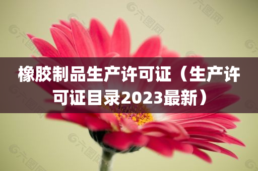 橡胶制品生产许可证（生产许可证目录2023最新）