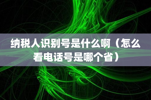 纳税人识别号是什么啊（怎么看电话号是哪个省）