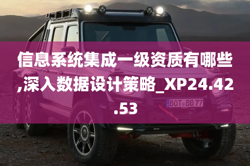 信息系统集成一级资质有哪些,深入数据设计策略_XP24.42.53