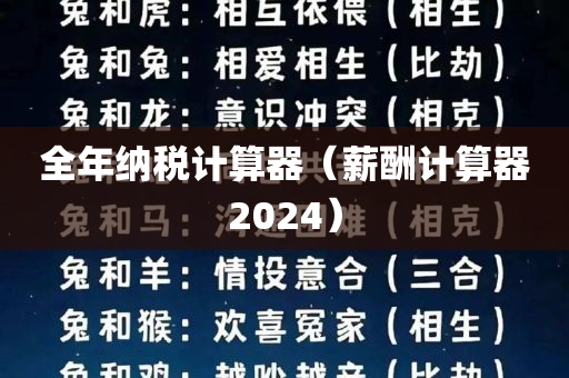 全年纳税计算器（薪酬计算器2024）