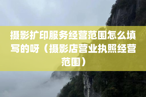 摄影扩印服务经营范围怎么填写的呀（摄影店营业执照经营范围）