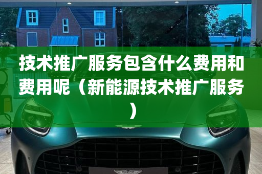 技术推广服务包含什么费用和费用呢（新能源技术推广服务）