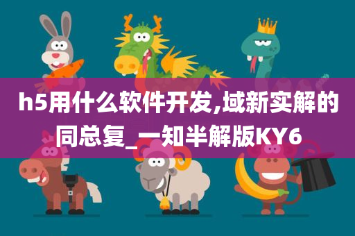 h5用什么软件开发,域新实解的同总复_一知半解版KY6