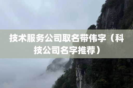 技术服务公司取名带伟字（科技公司名字推荐）