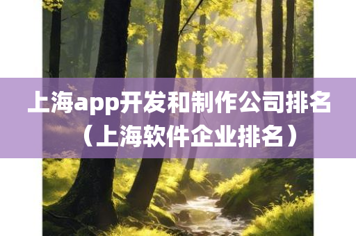 上海app开发和制作公司排名（上海软件企业排名）