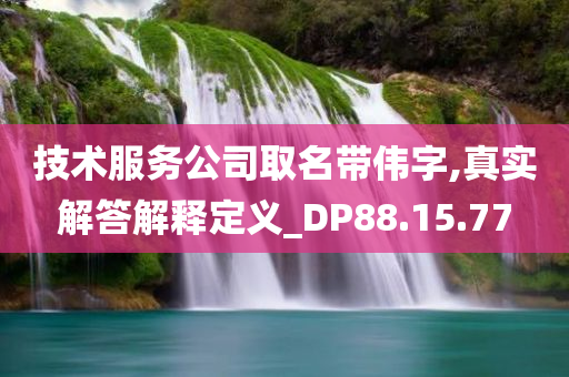 技术服务公司取名带伟字,真实解答解释定义_DP88.15.77