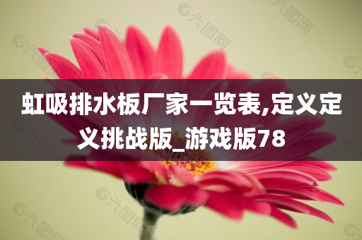 虹吸排水板厂家一览表,定义定义挑战版_游戏版78