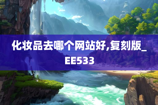 化妆品去哪个网站好,复刻版_EE533