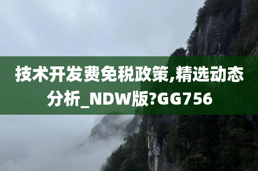 技术开发费免税政策,精选动态分析_NDW版?GG756